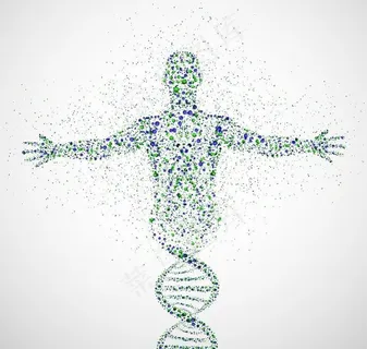 DNA遗传学遗传基因图片