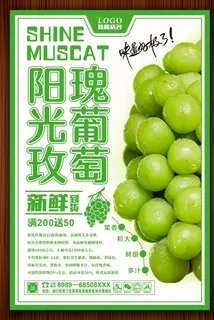 阳光玫瑰葡萄图片