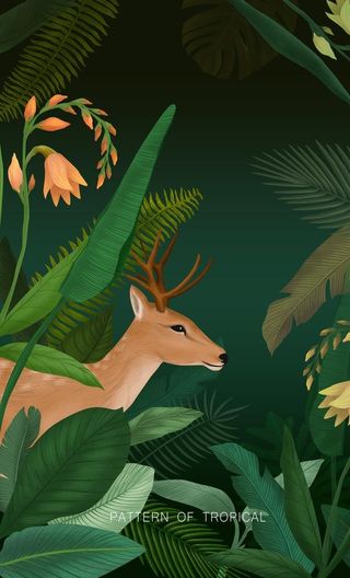 热带丛林植物插画图片