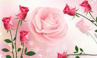 花卉背景墙图片