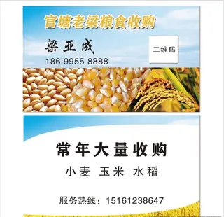 粮食收购名片图片
