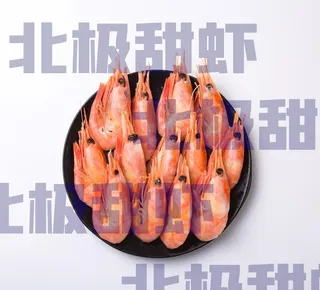 北极甜虾图片