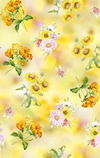 手绘花 菊花图片 手绘花 菊花图片