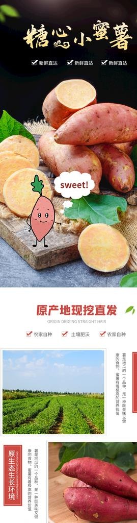 蜜薯详情页图片(790x2690)psd模版下载