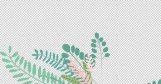 绿植边框底纹插画卡通背景素材图片
