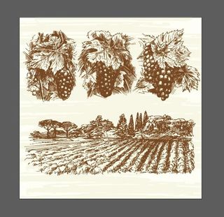 复古红酒素材图片