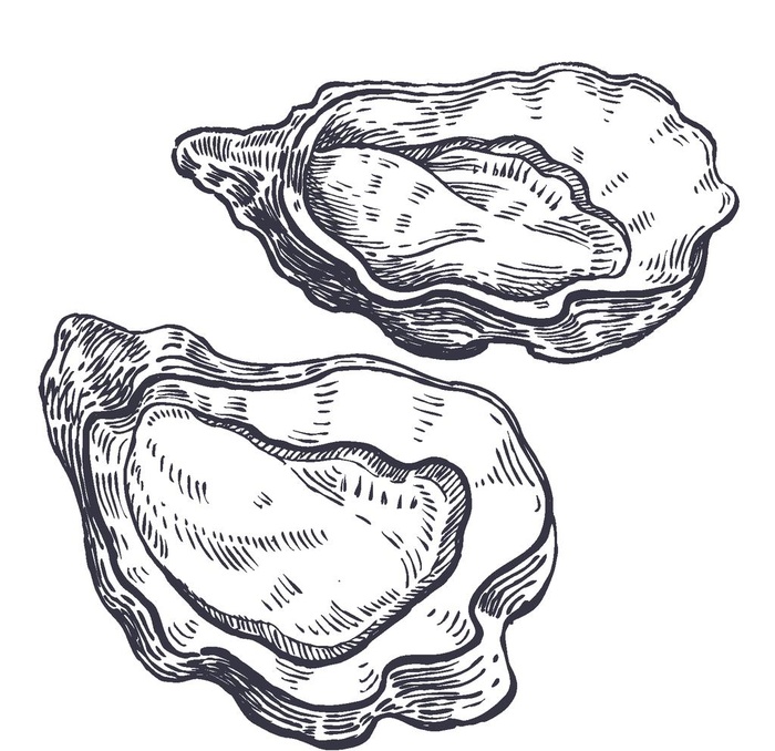餐饮食物插画元素图片eps,ai矢量模版下载