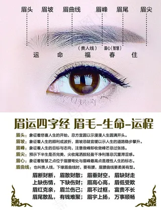 眉运图片
