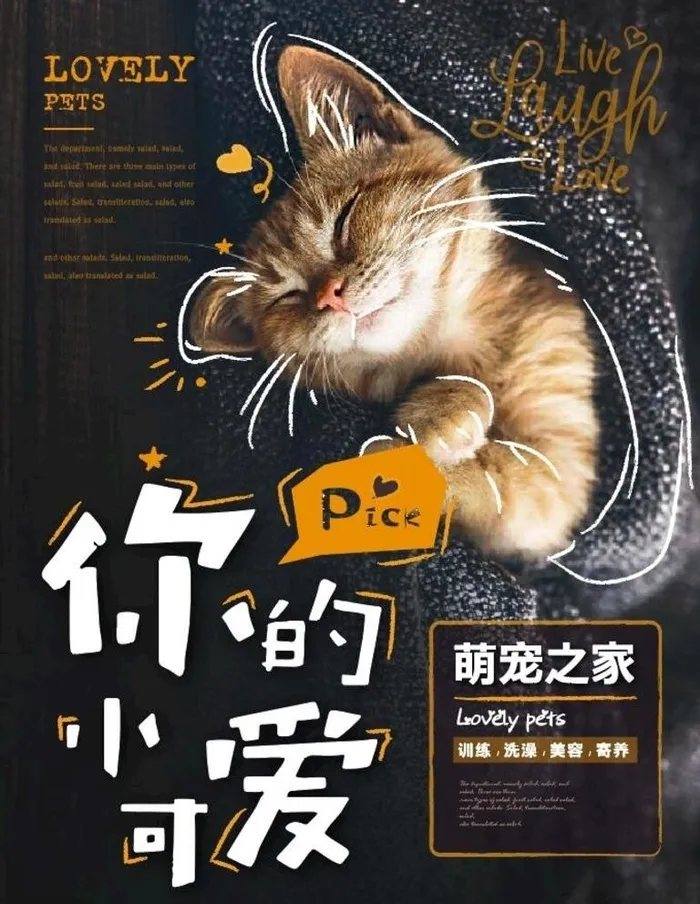 宠物猫图片ai矢量模版下载