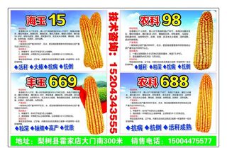 种业宣传单图片