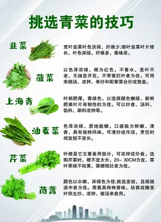 青菜挑选技巧展板图片