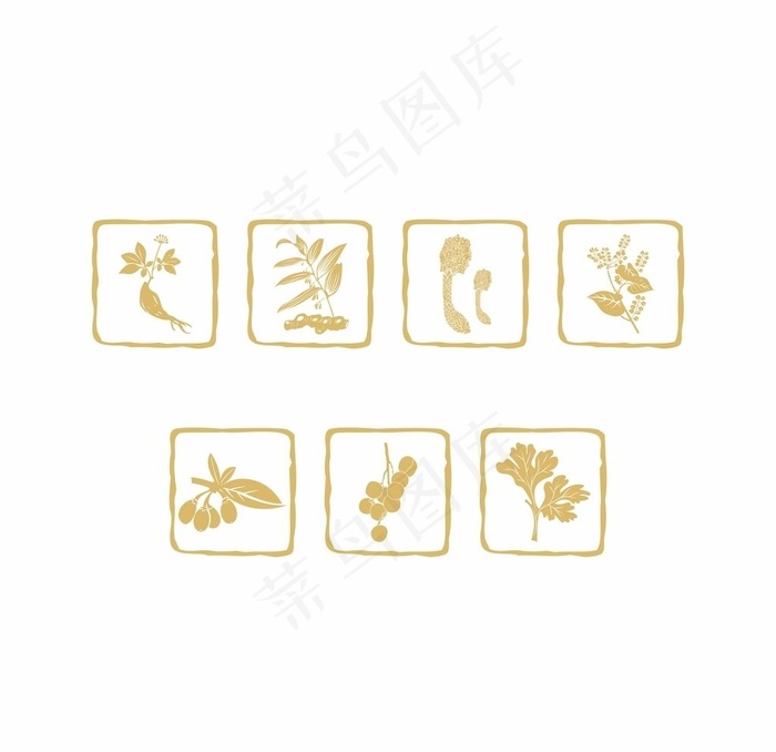 中草药矢量图片
