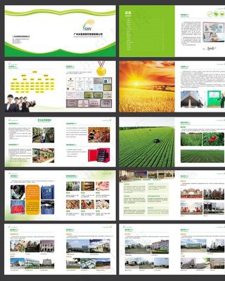 餐饮膳食公司画册设计图片