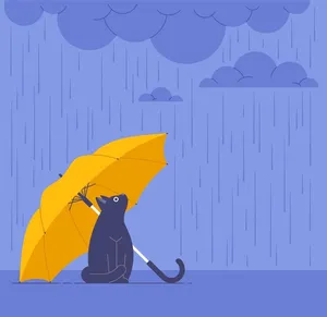雨伞和猫咪插画图片