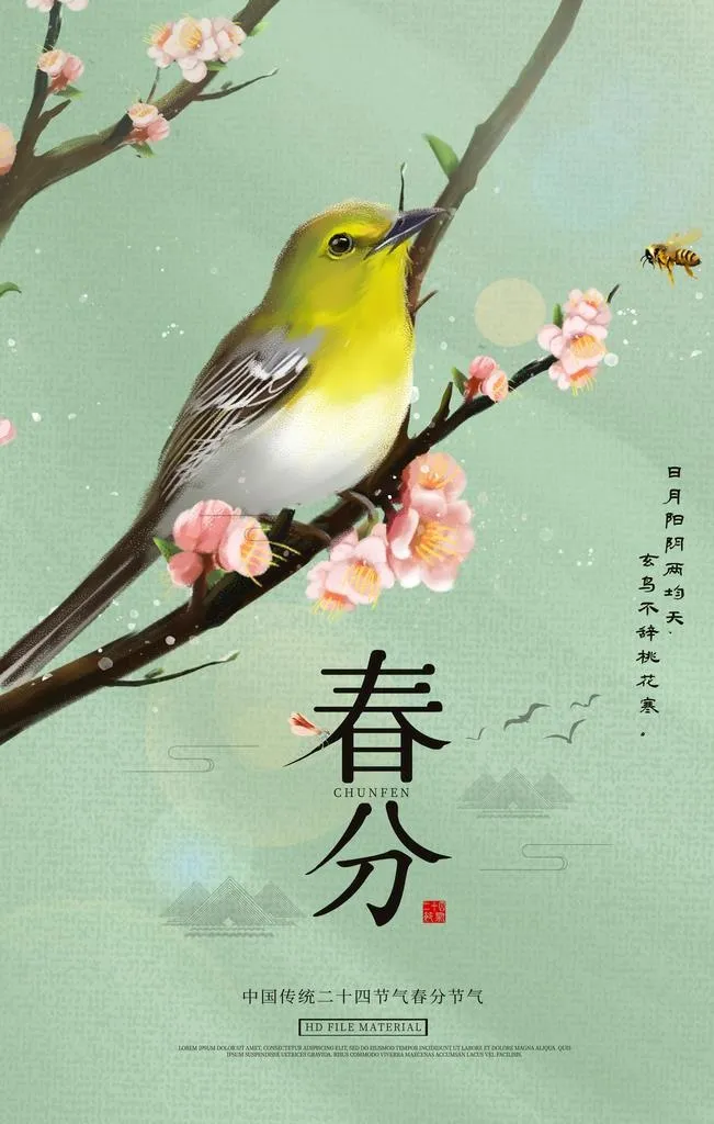 春分插画海报图片
