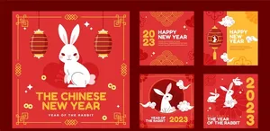 兔年 图片