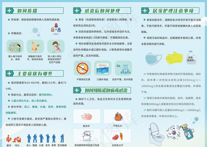 诺如病毒折页内页图片