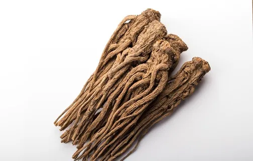 当归图片 当归图片