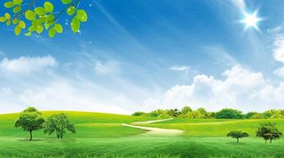 清新草地背景图片