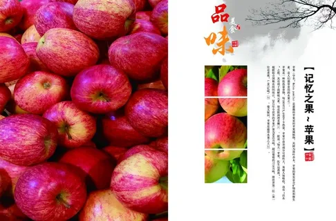 画册 文化   图片 排版 中