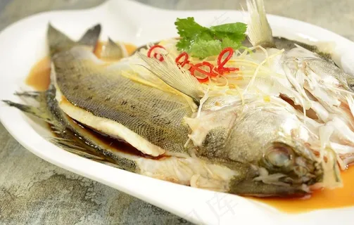 野生鲈鱼图片 野生鲈鱼图片