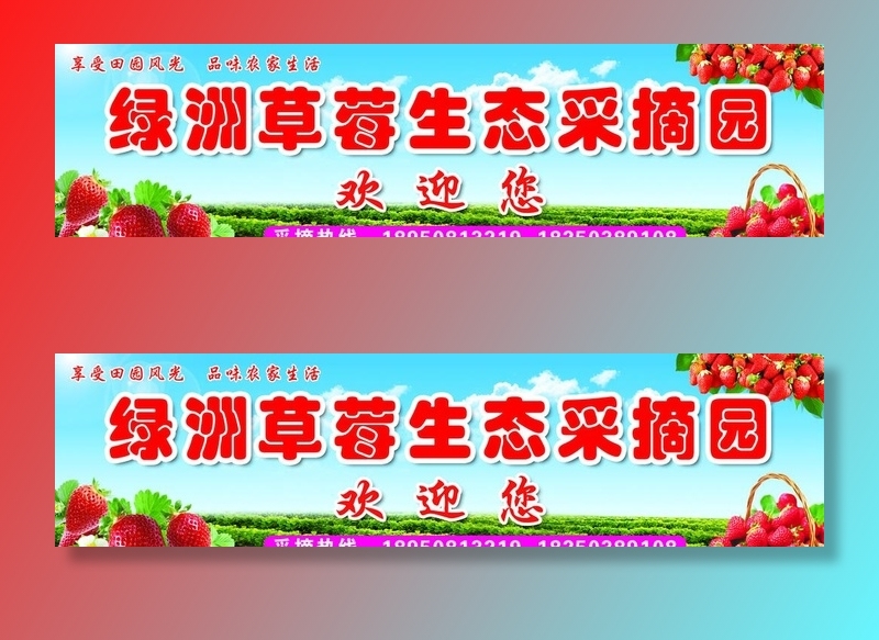 草莓采摘园图片(4803x1354)psd模版下载