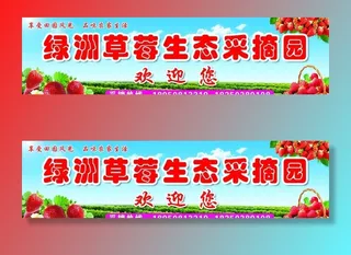 草莓采摘园图片