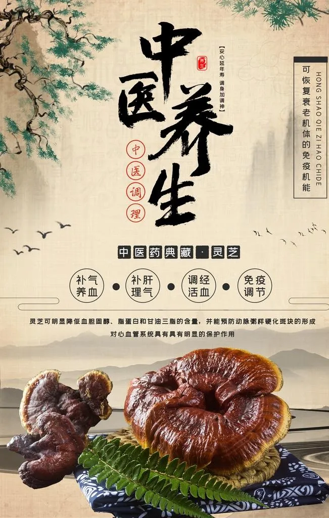 大气中国风灵芝海报图片