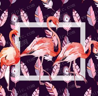 矢量火烈鸟图片