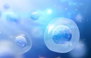 带有原子核的蓝色细胞图片