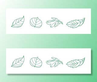 矢量手绘叶子图片