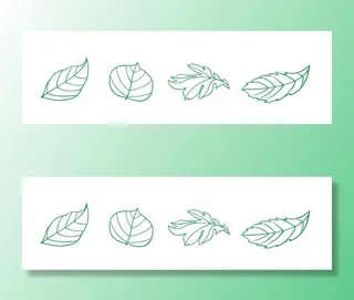 矢量手绘叶子图片