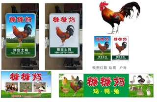 土鸡土鸭土兔 店招设计图片