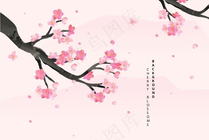 樱花 图片eps,ai矢量模版下载