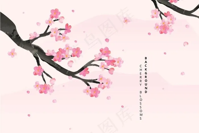 樱花 图片eps,ai矢量模版下载
