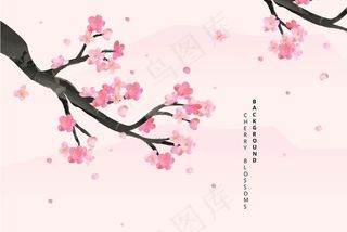 樱花 图片