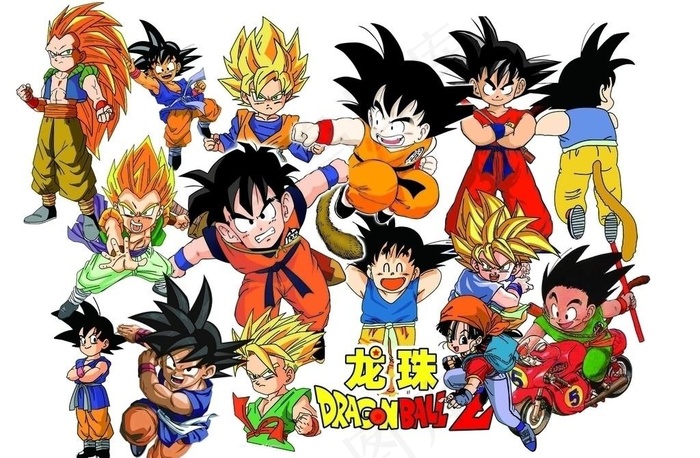 龙珠图片