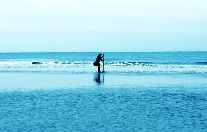 北海银滩挖贝壳的渔民图片