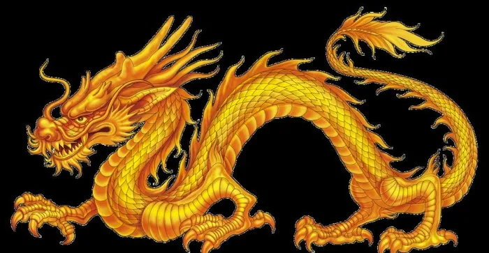 龙图片psd模版下载