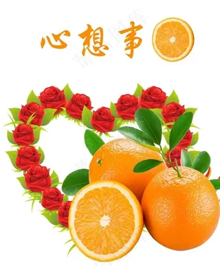 心想事橙图片