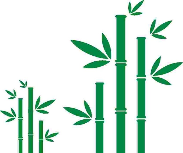 矢量竹子素材图片cdr矢量模版下载
