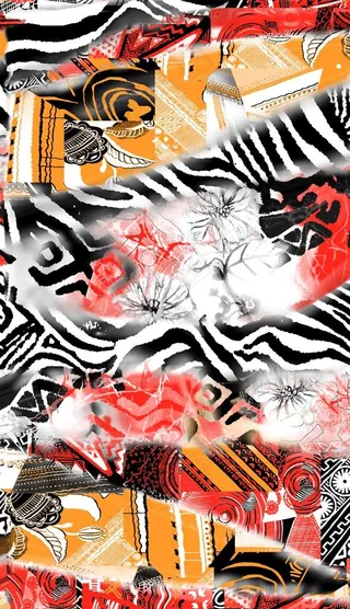 斑马纹渐变图案图片