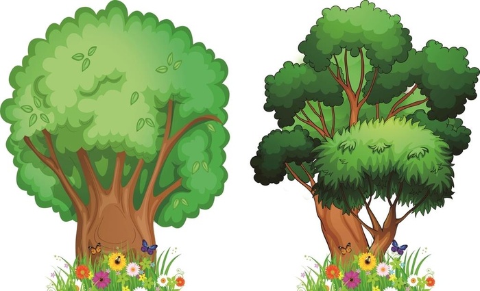 树图片