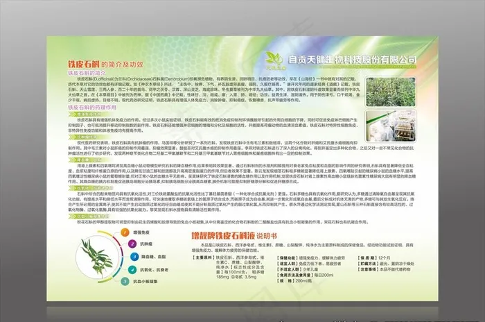 铁皮石斛单页图片cdr矢量模版下载