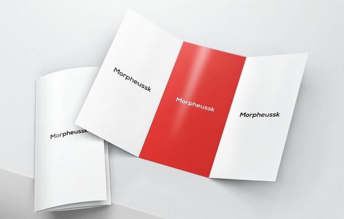 三折页样机图片