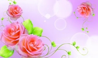 梦幻玫瑰花图片