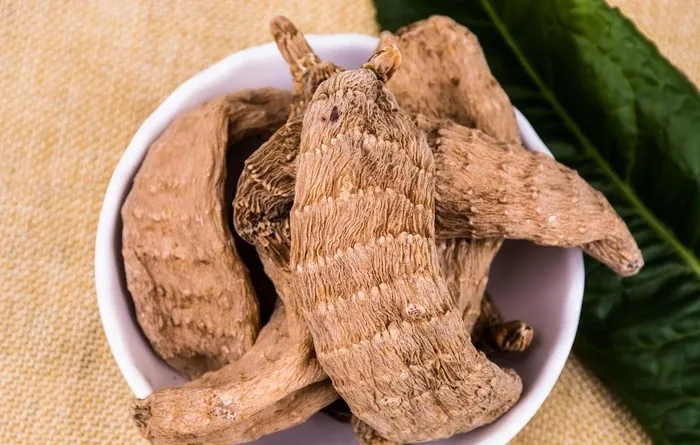 干天麻图片