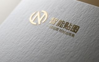 logo标志样机图片