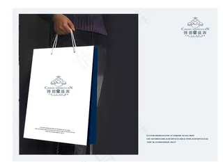 VI系统纸袋PSD图片