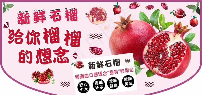 石榴图片cdr矢量模版下载